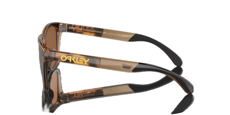 OKULARY OAKLEY FROGSKINS RANGE Brown /Prizm Tungsten Polarized 2026