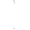 KIJE NARCIARSKIE SALOMON ARCTIC White/Grey 2024
